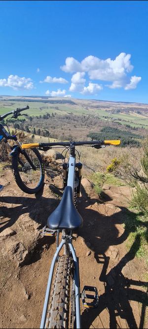 Trek Marlin 6 29 2026