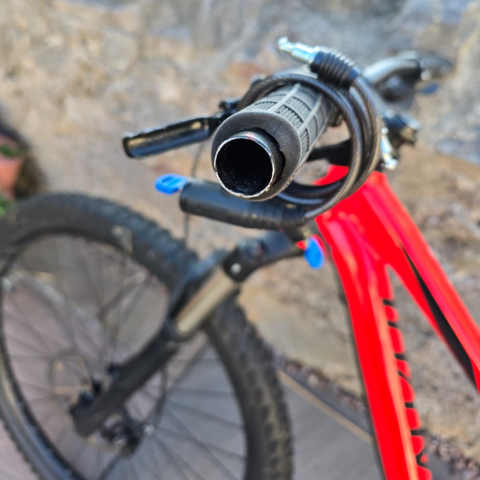 Specialized Men's Camber 29 2018