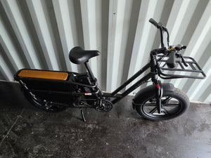 Fiido Longtail t2 2024