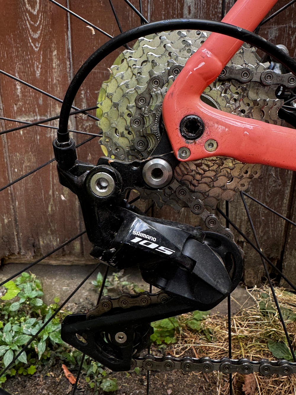 Trek Émonda ALR 5 Disc 2023
