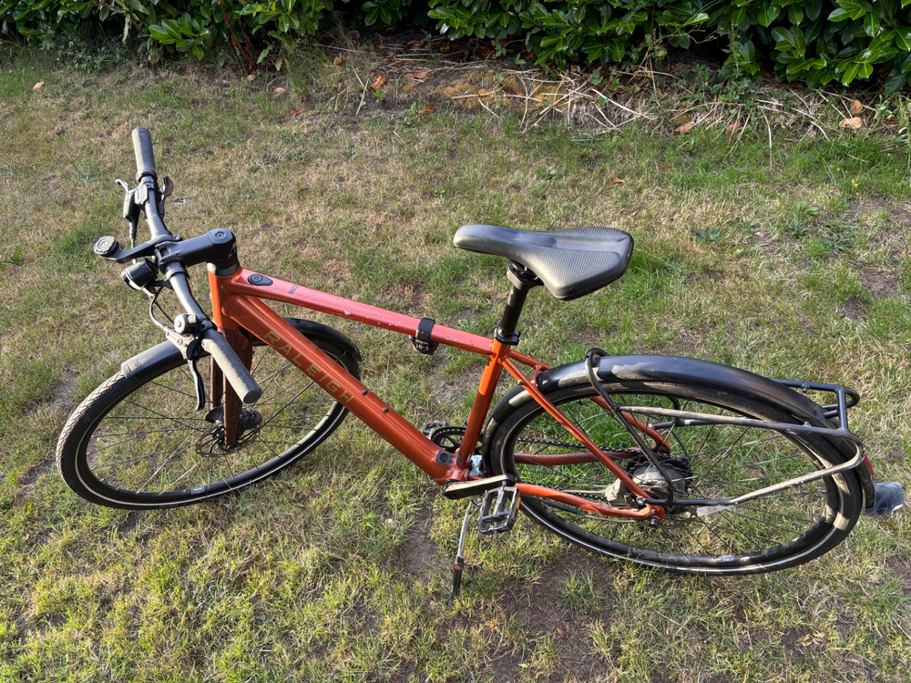 Raleigh Trace Electric 2023