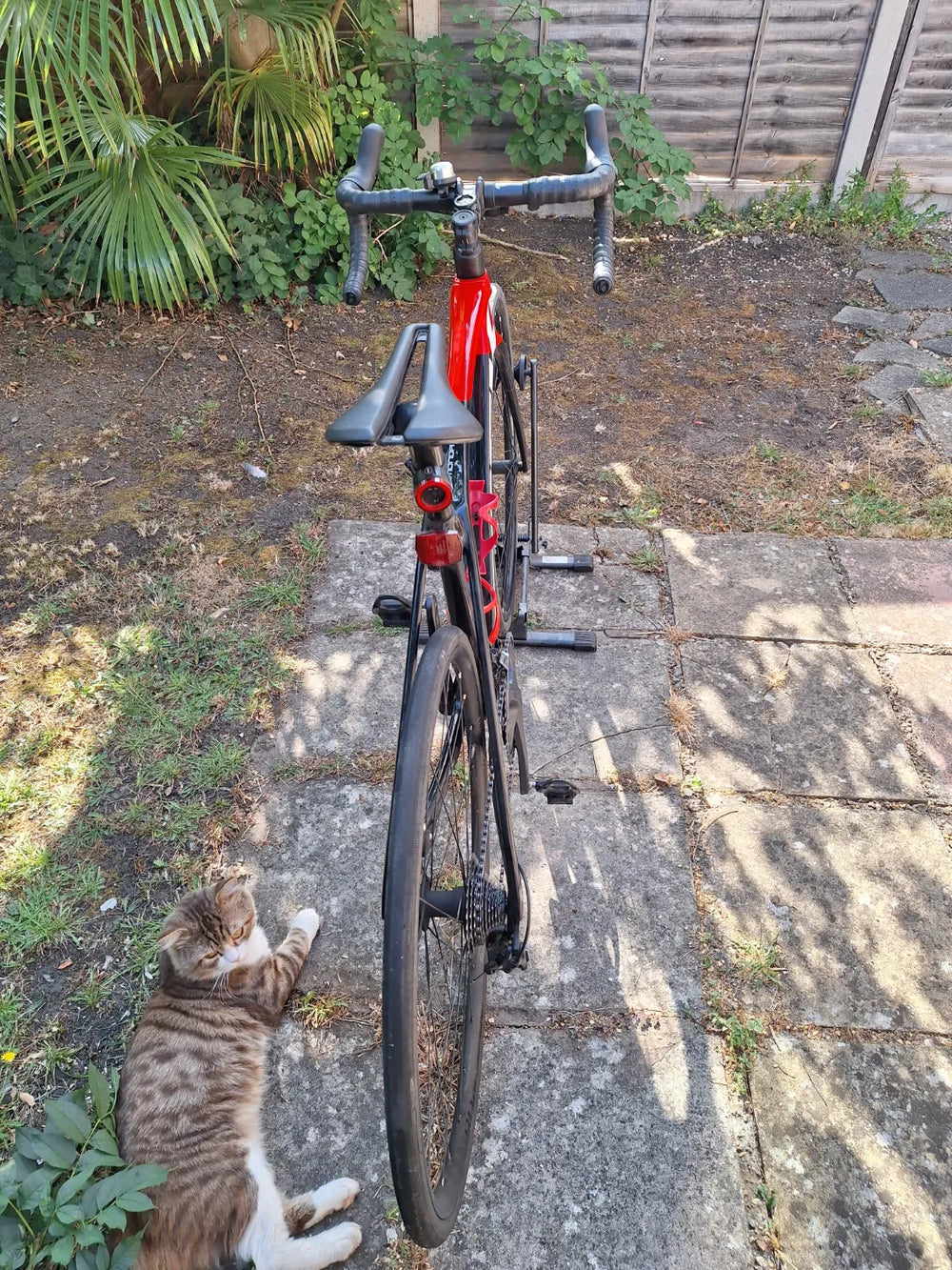 Trek Émonda SL 6 Disc 2021