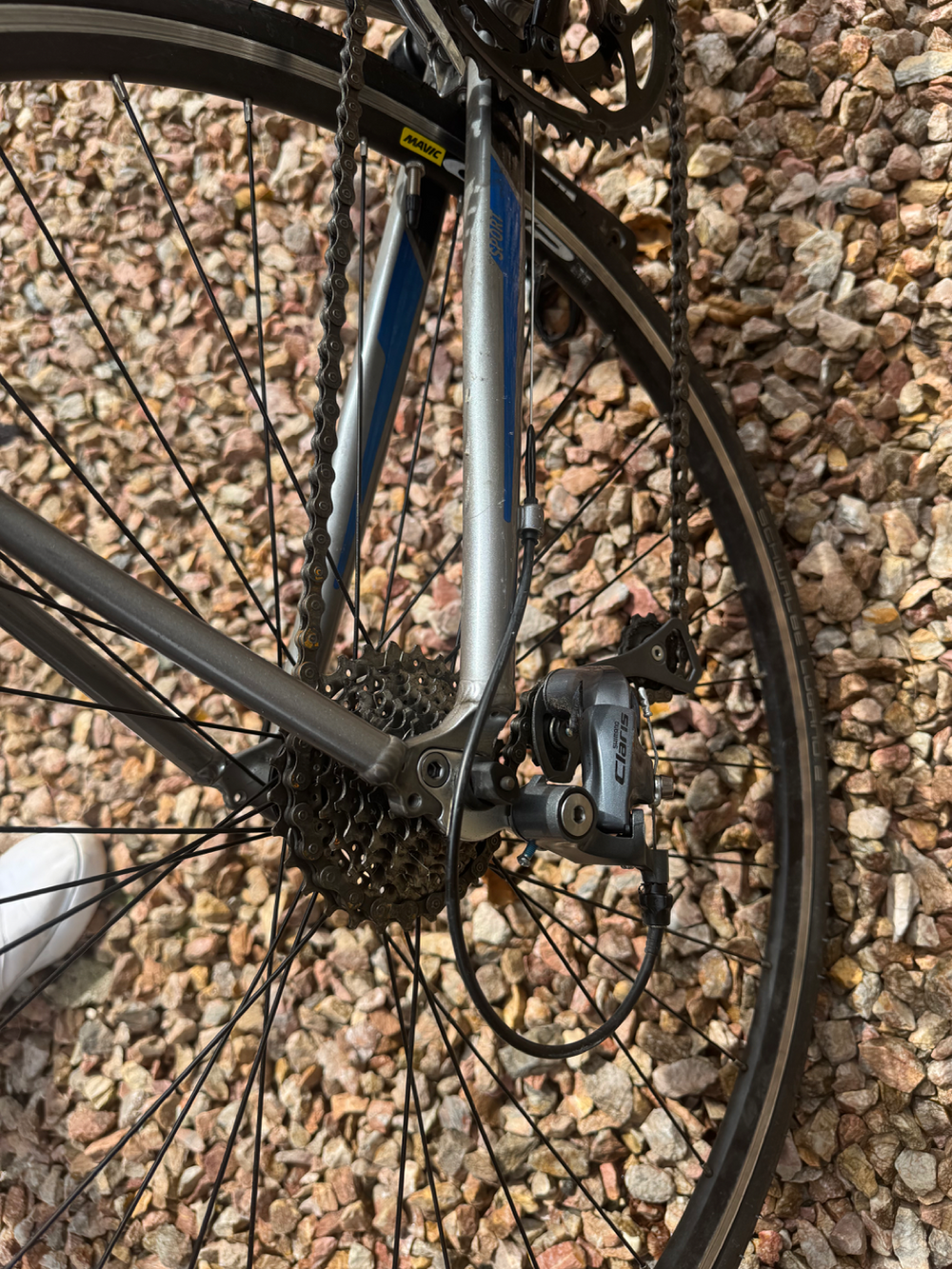 Boardman Road Sport 2016
