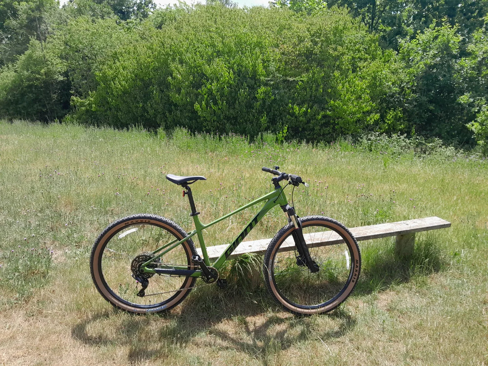 Giant Talon 2 - 29 Wheel - Dried 2026