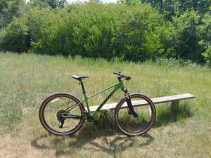 Giant Talon 2 - 29 Wheel - Dried 2026