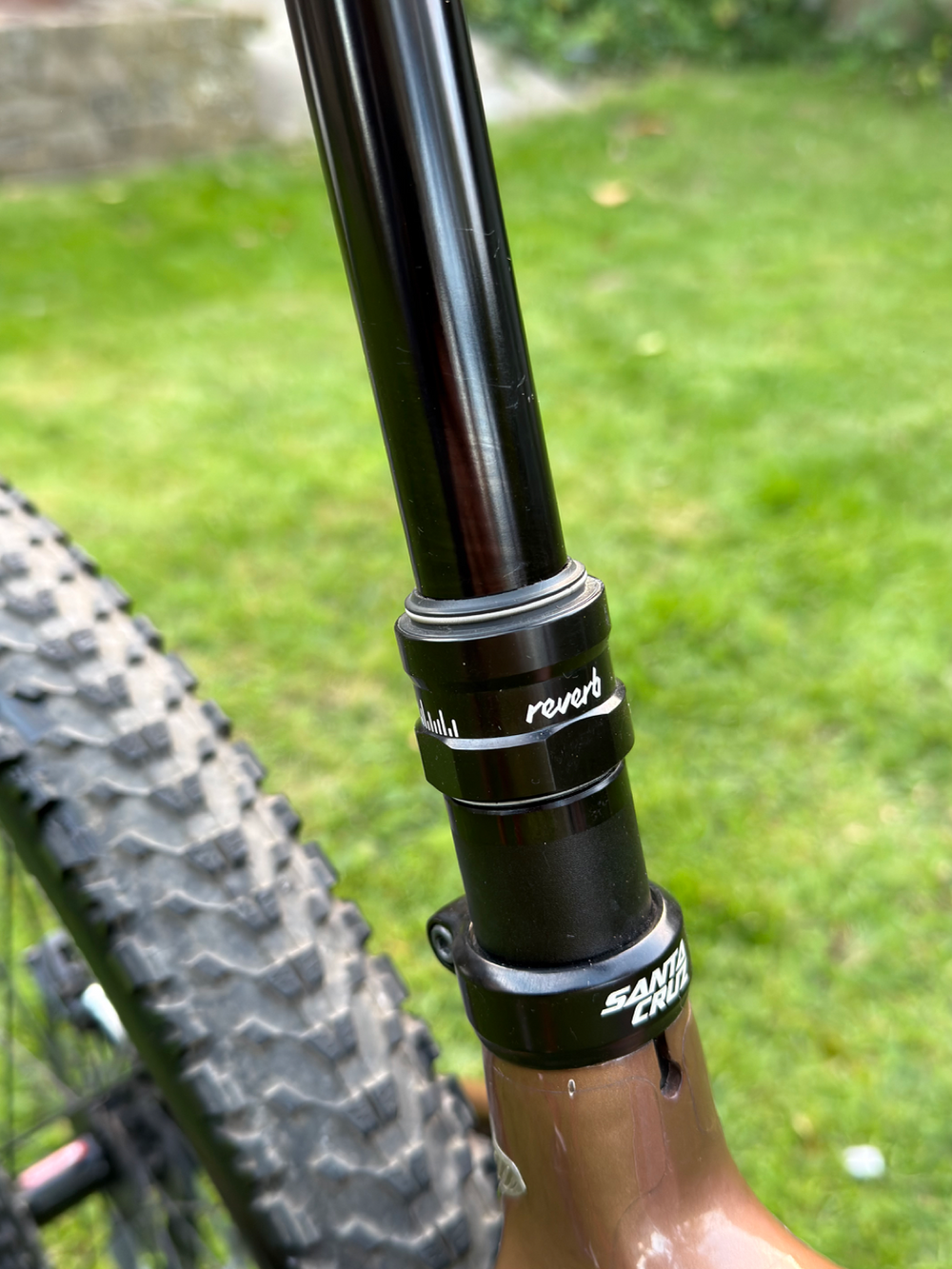 Santa Cruz Chameleon S / Carbon C / 29 2020