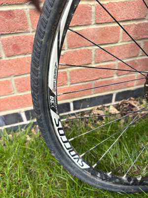 Scott 50 2015