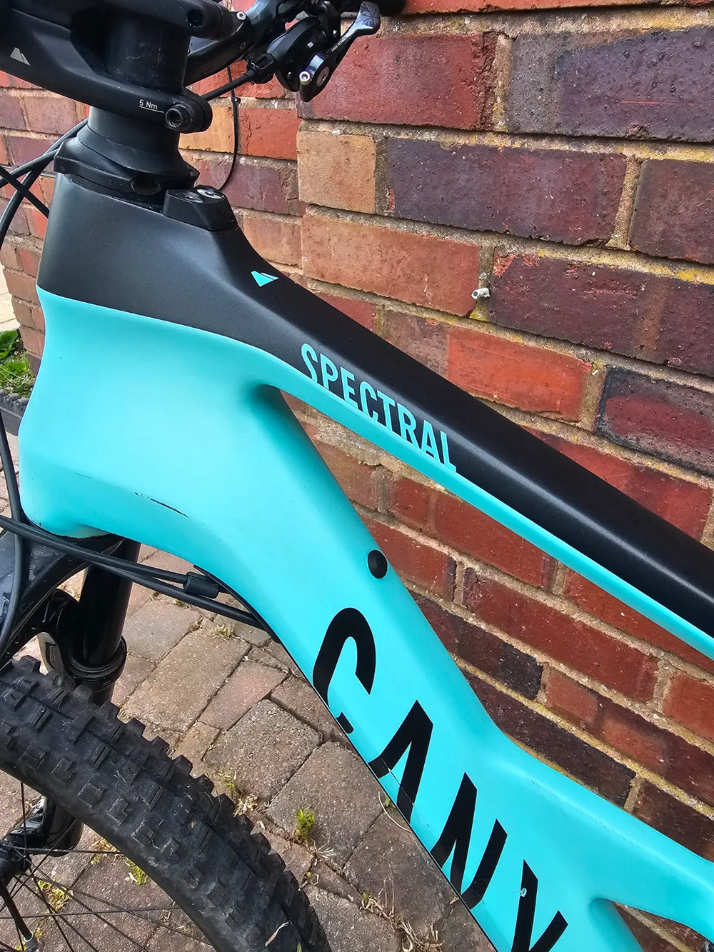 Canyon Spectral CF 9 2021