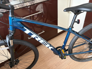 Trek Dual Sport 3