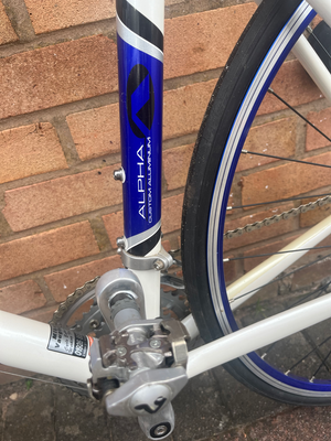 Trek 1000 2017