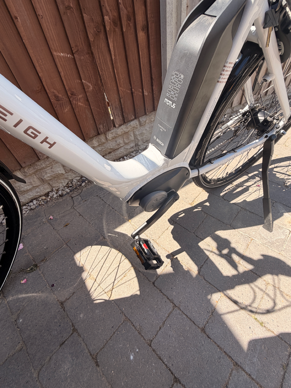 Raleigh Motus - Hub Gear 2026