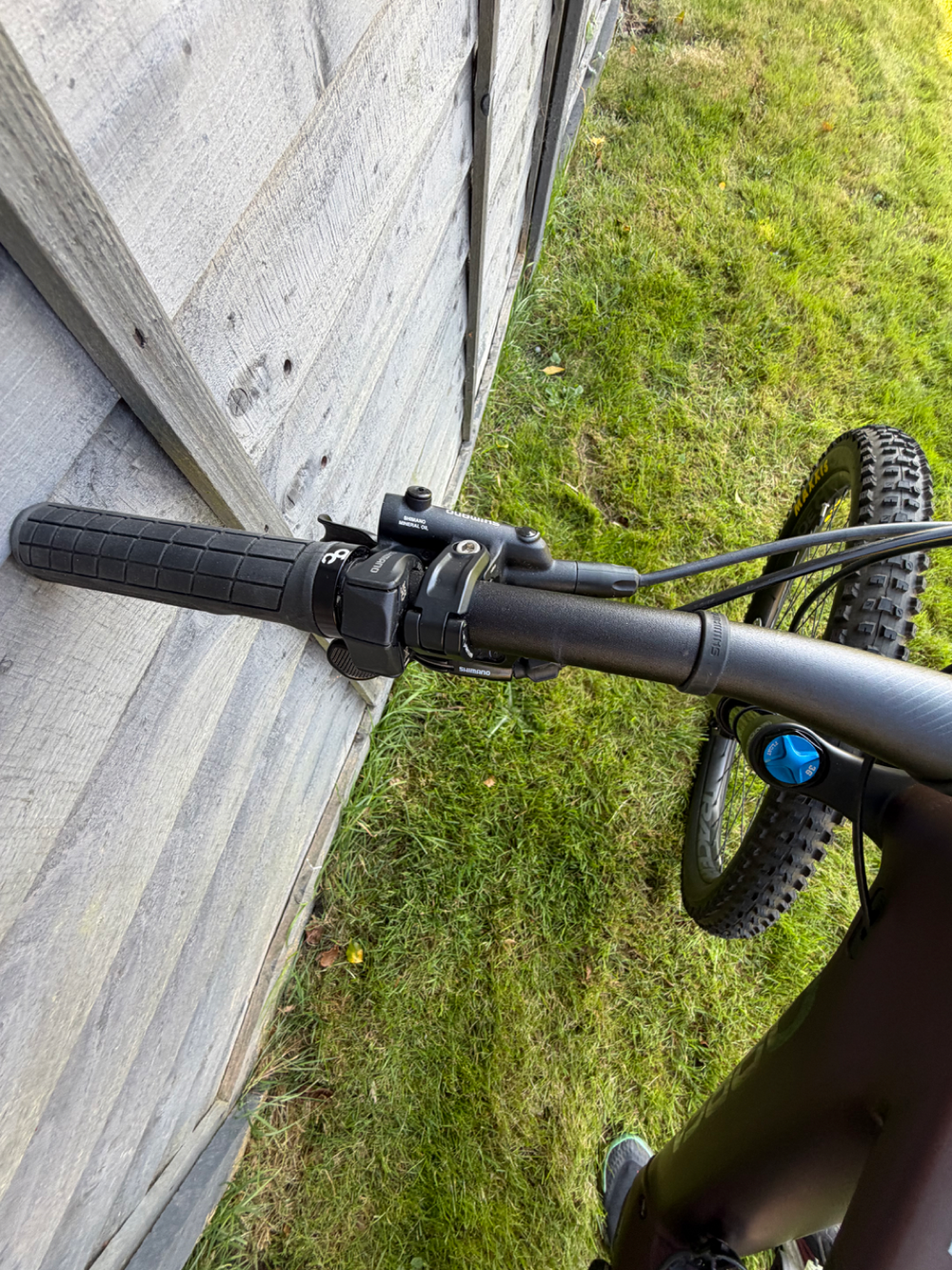 Orbea Rise H15 2022