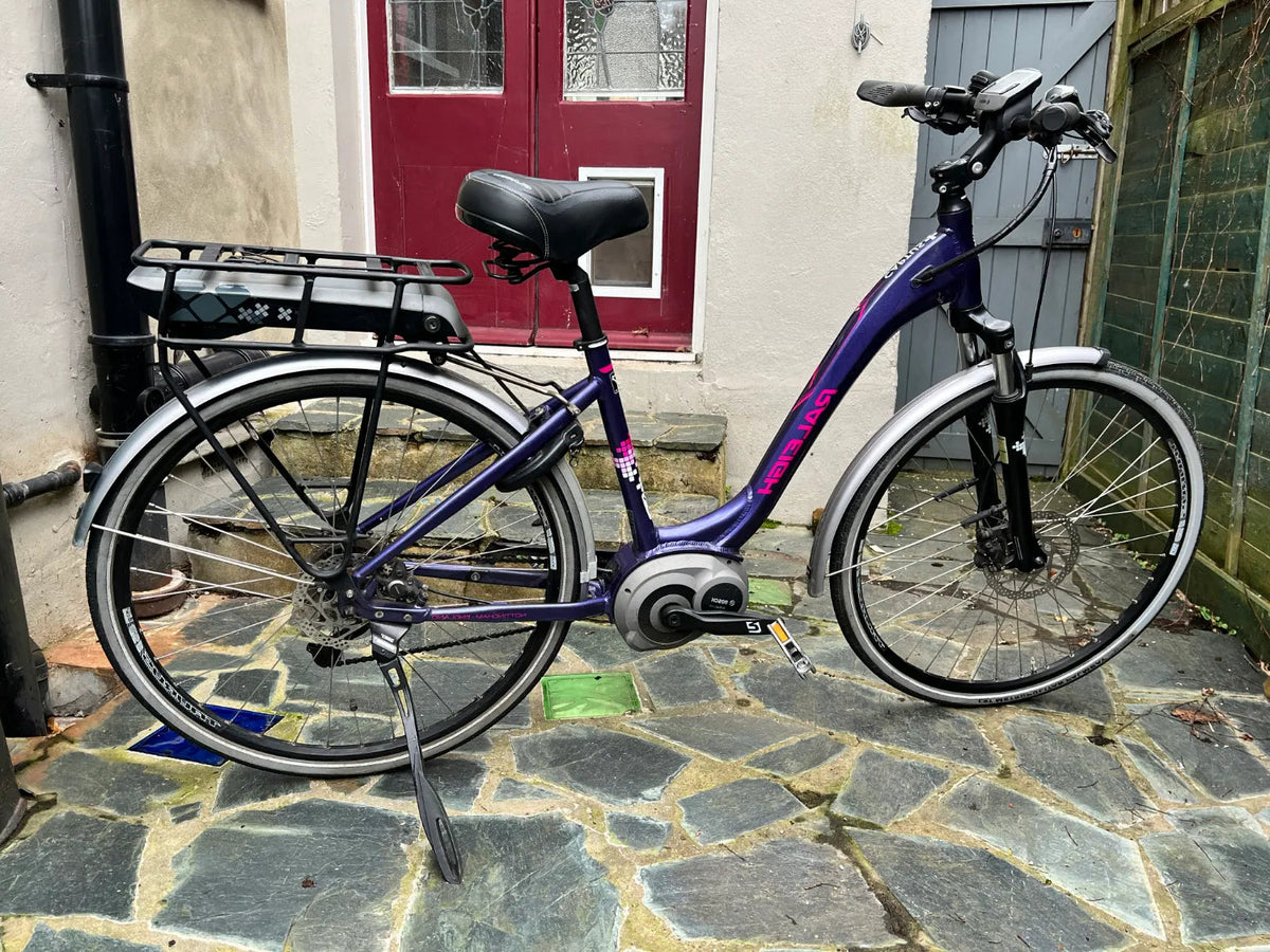 Raleigh Captus 2017