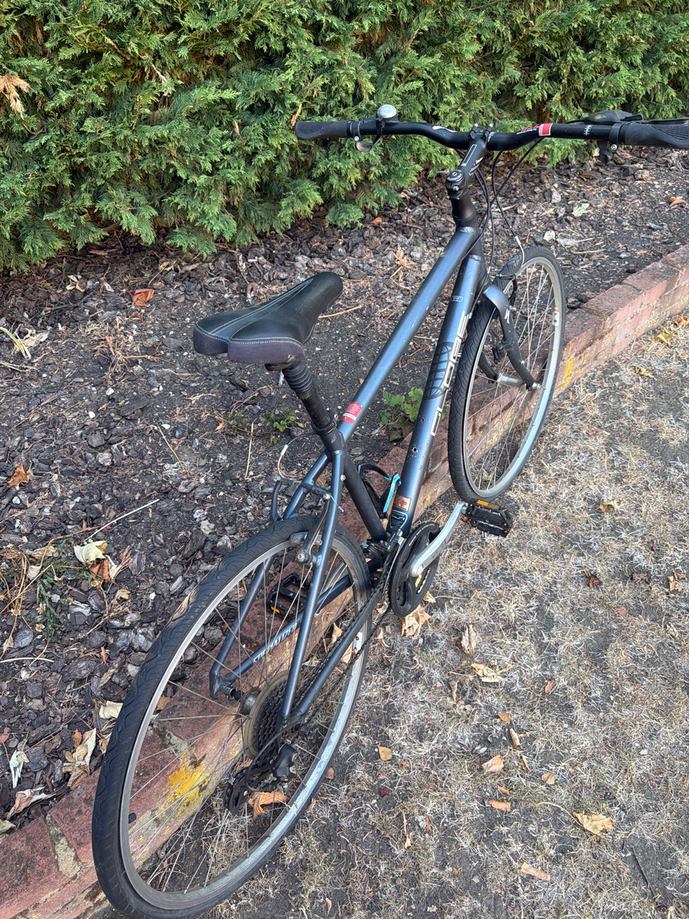 Specialized Globe 2008