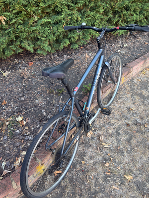 Specialized Globe 2008