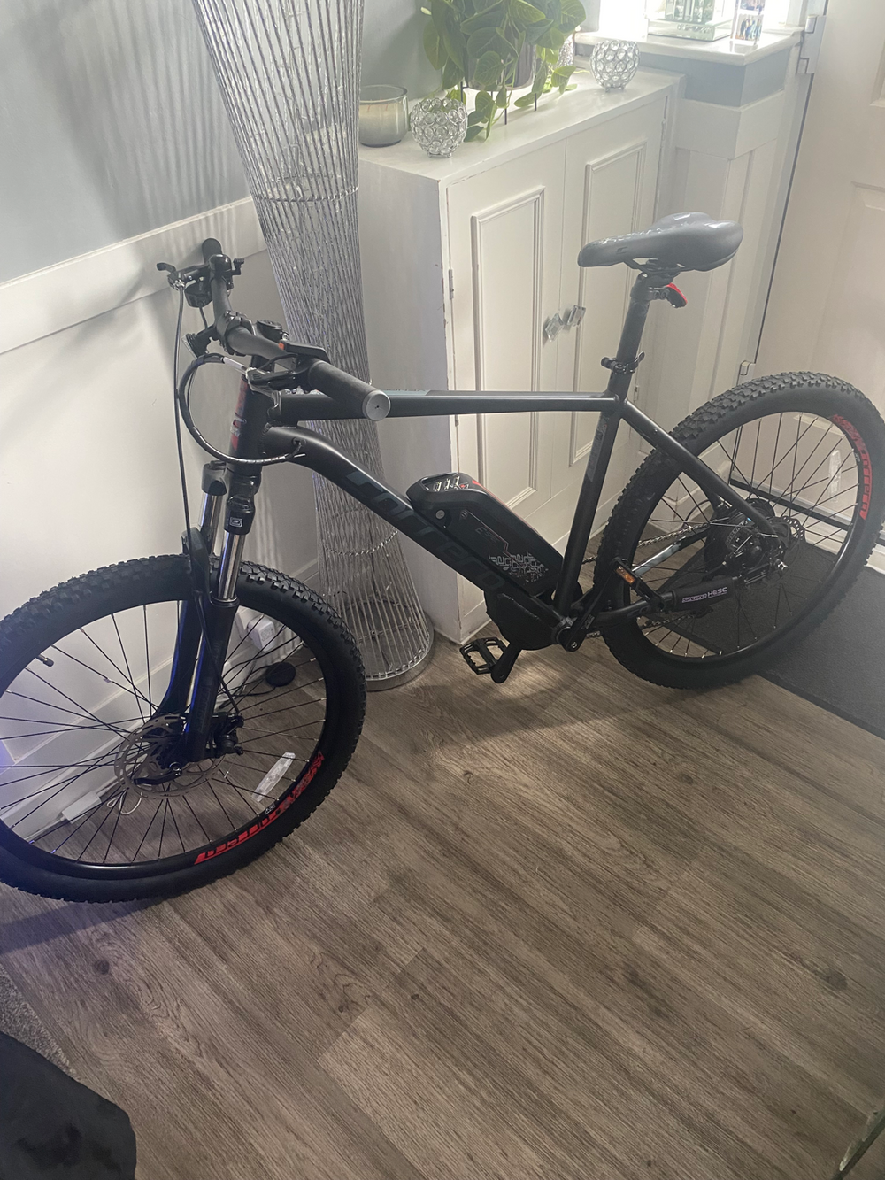 Carrera Vengeance-E Pro Ltd 2026