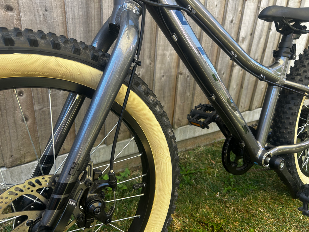 Vitus 20 Plus 2019