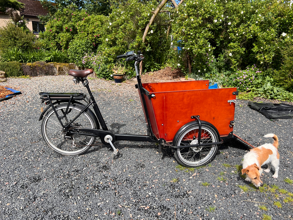 Babboe Dog E Electric Cargo Trike 2020
