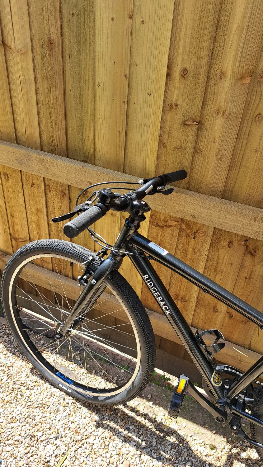 Ridgeback Dimension 26 2022