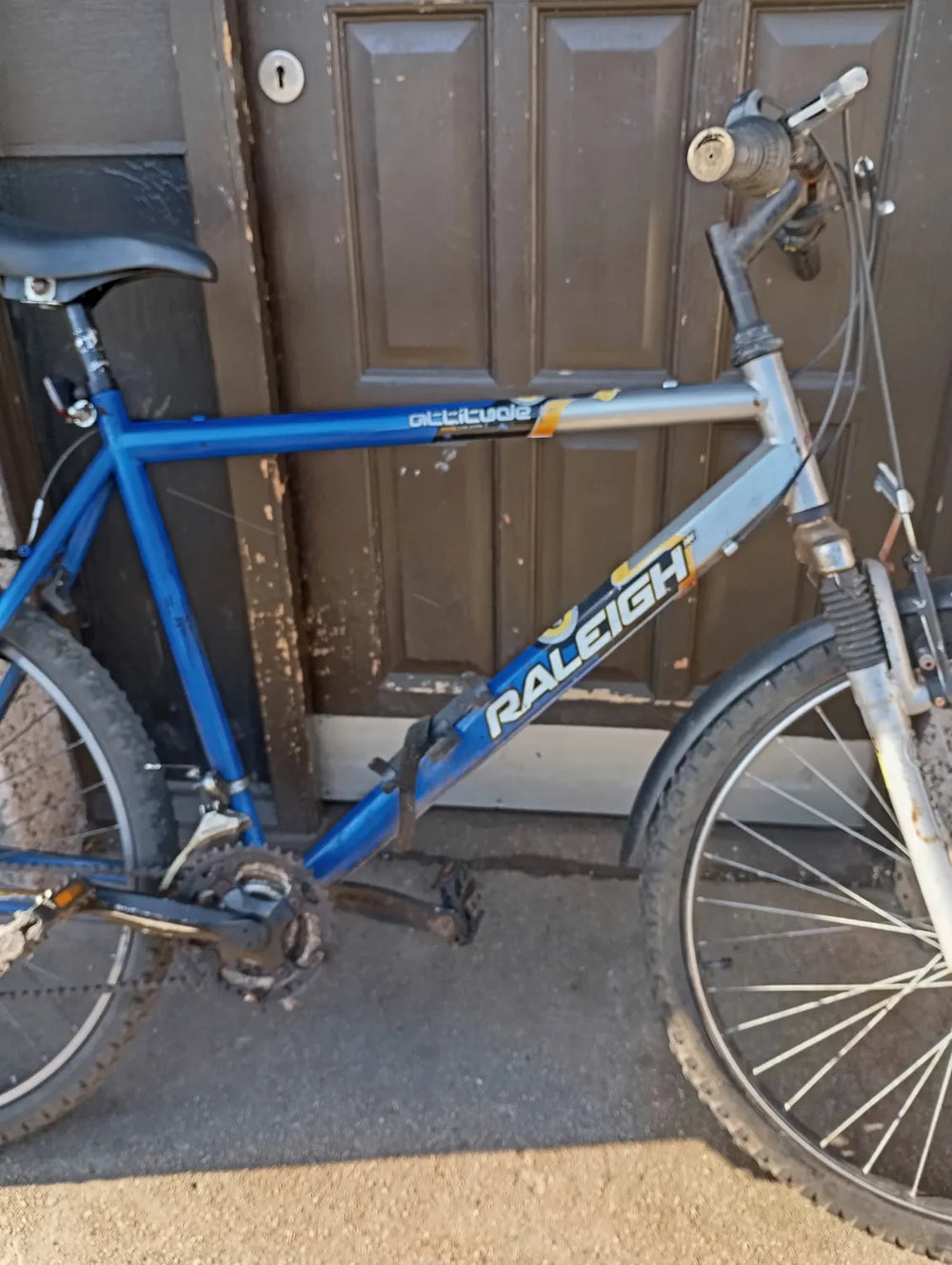 Raleigh Amelia 2 2018