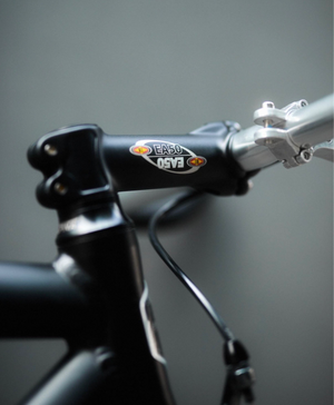 Dolan Single speed / fixie