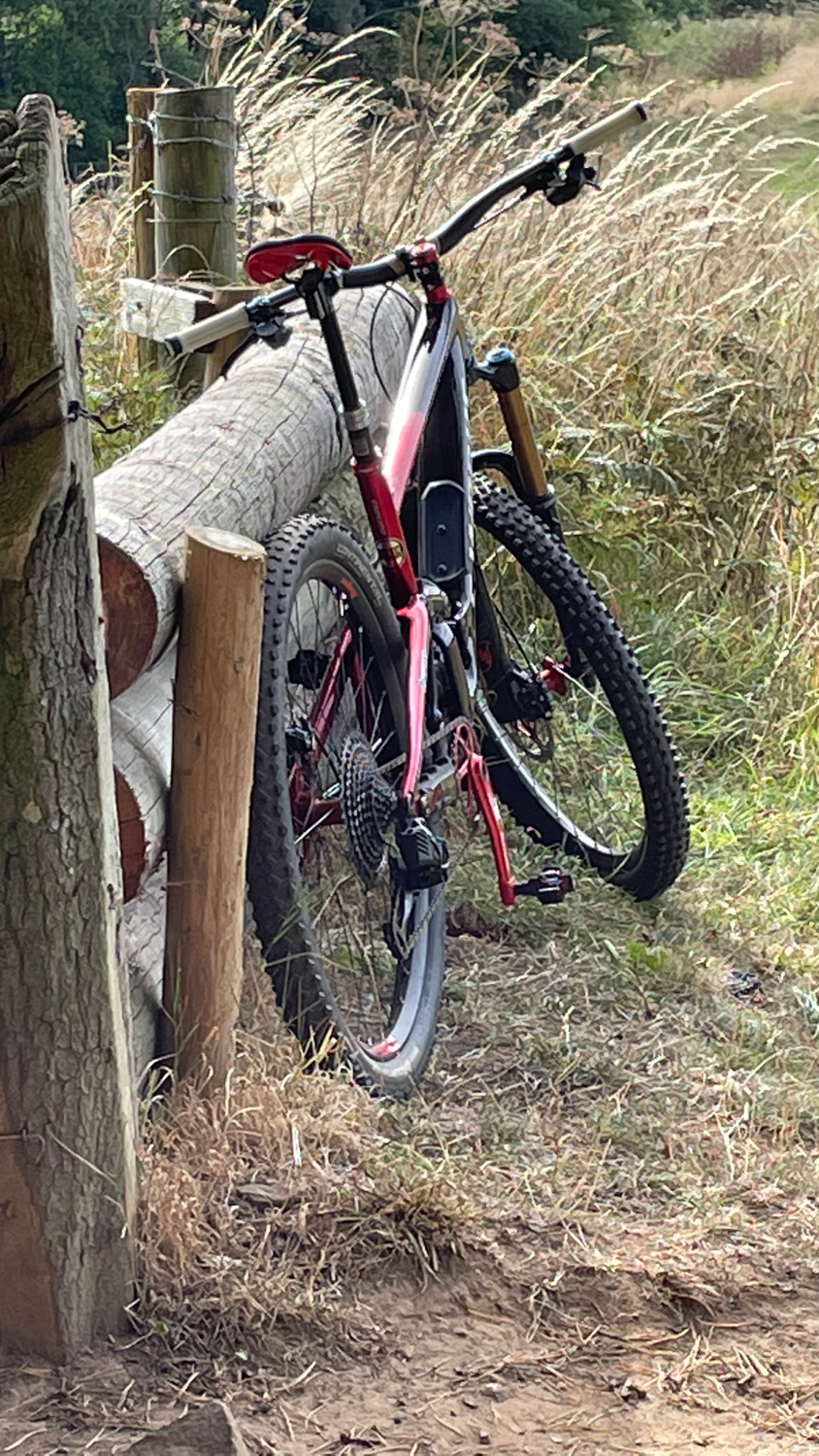 Specialized Enduro S Works 2022