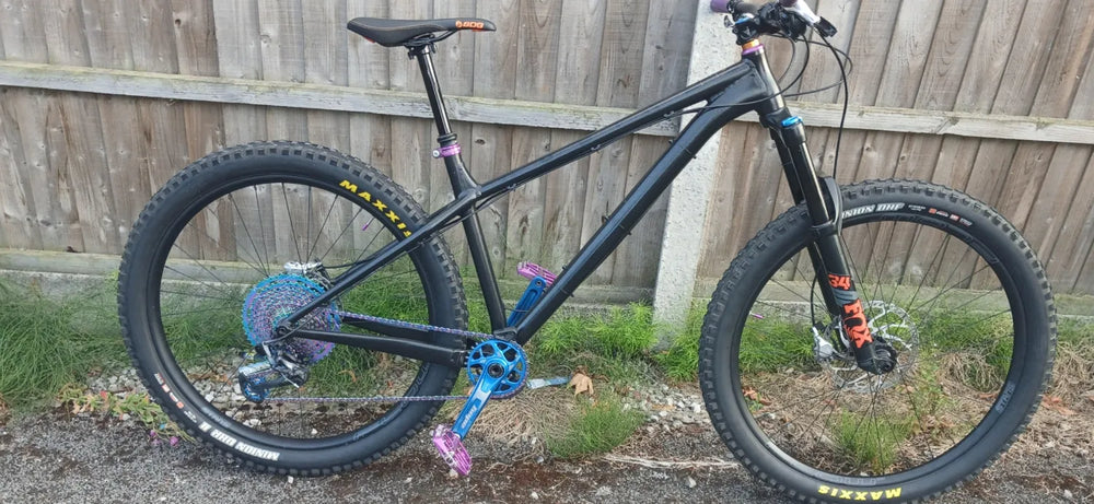 NS Eccentric alu evo 29 2022