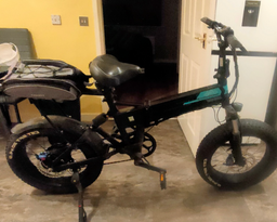 Fiido Electric bike 2021