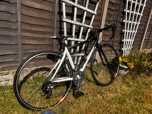 Giant TCR c3 2010