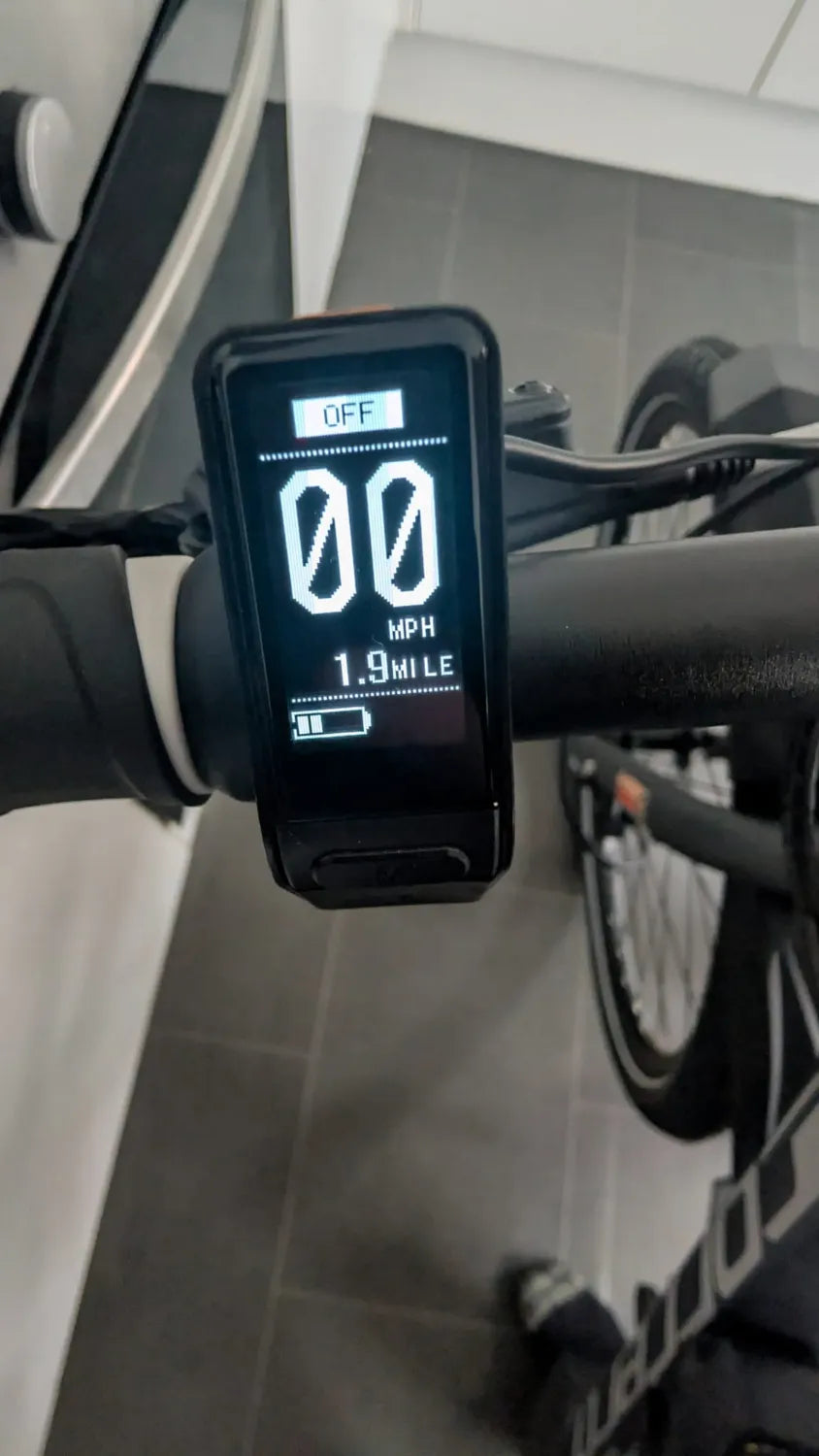 Carrera Subway E 2022