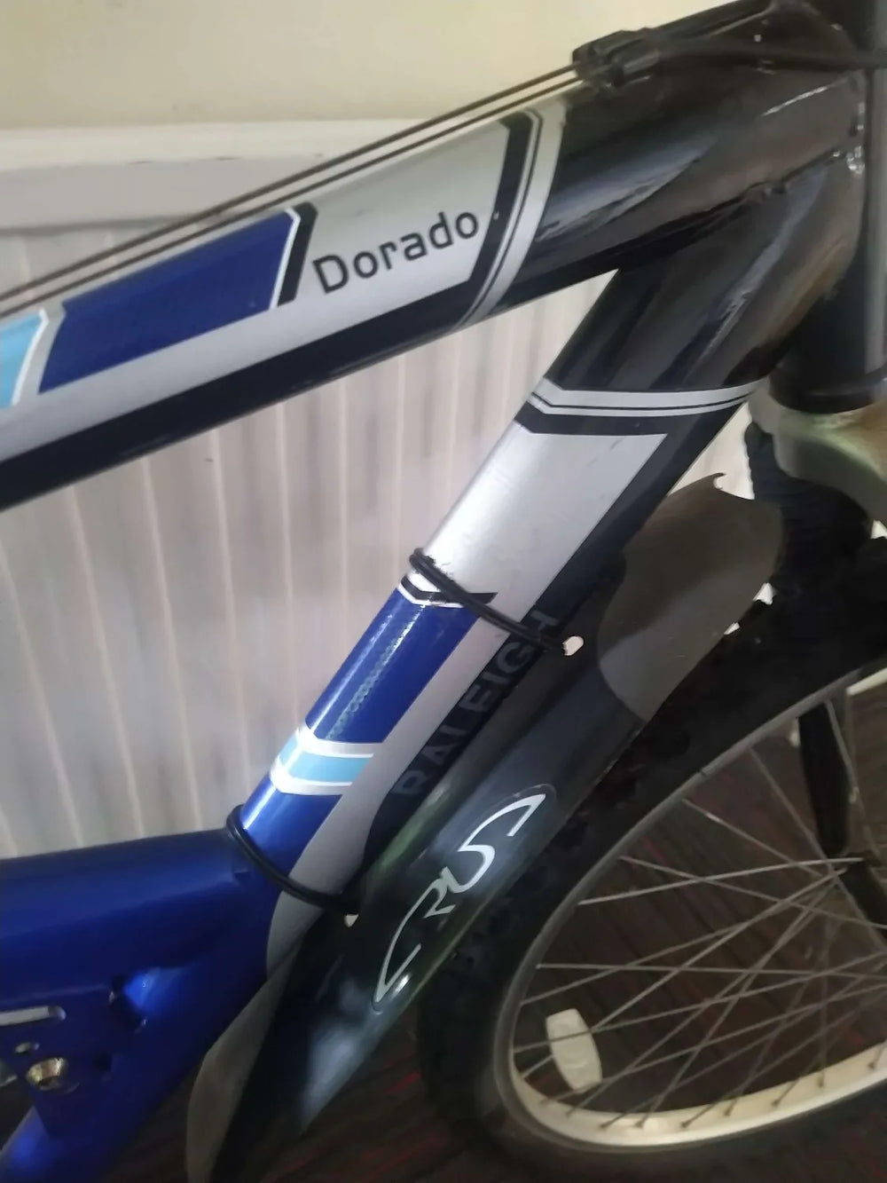 Raleigh Dorado 1999