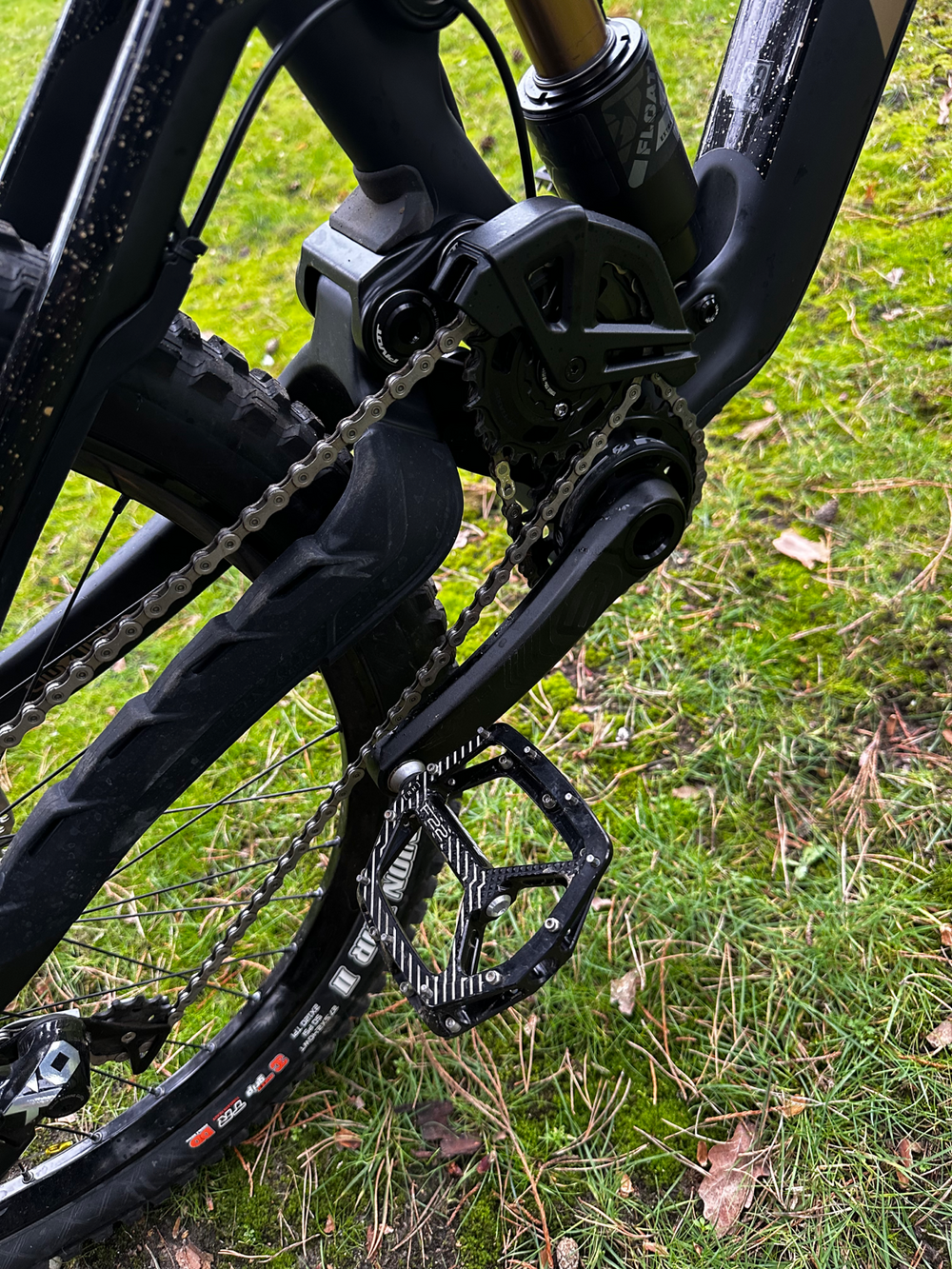 Pivot Phoenix 2025 DH carbon