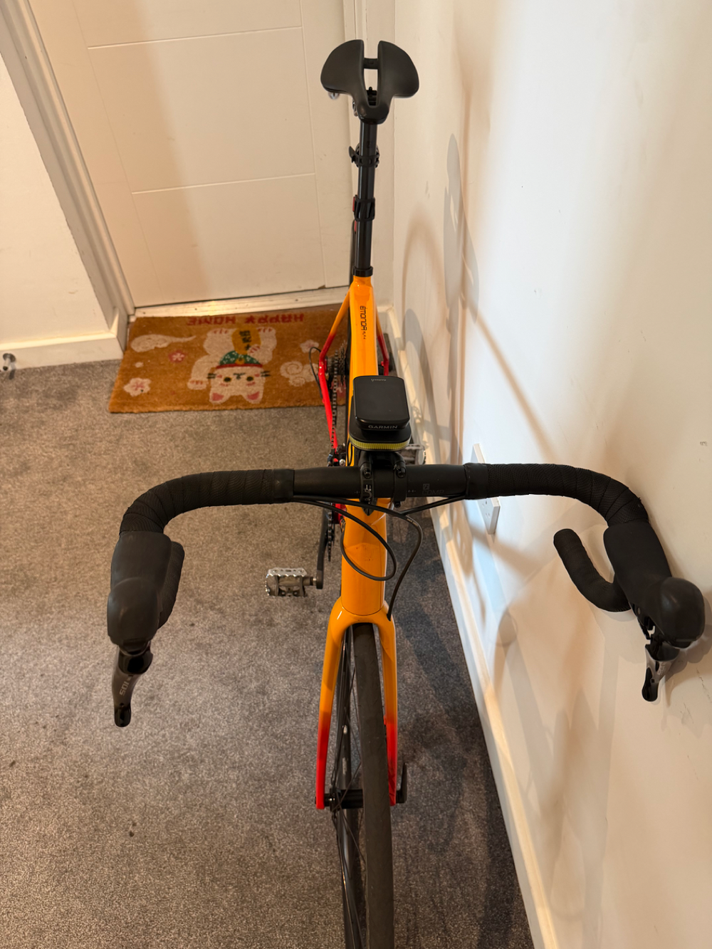 Trek Émonda ALR 4 Disc 2024