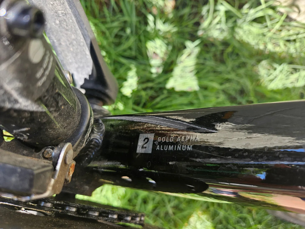 Trek Dual Sport 2 Gen5 2024
