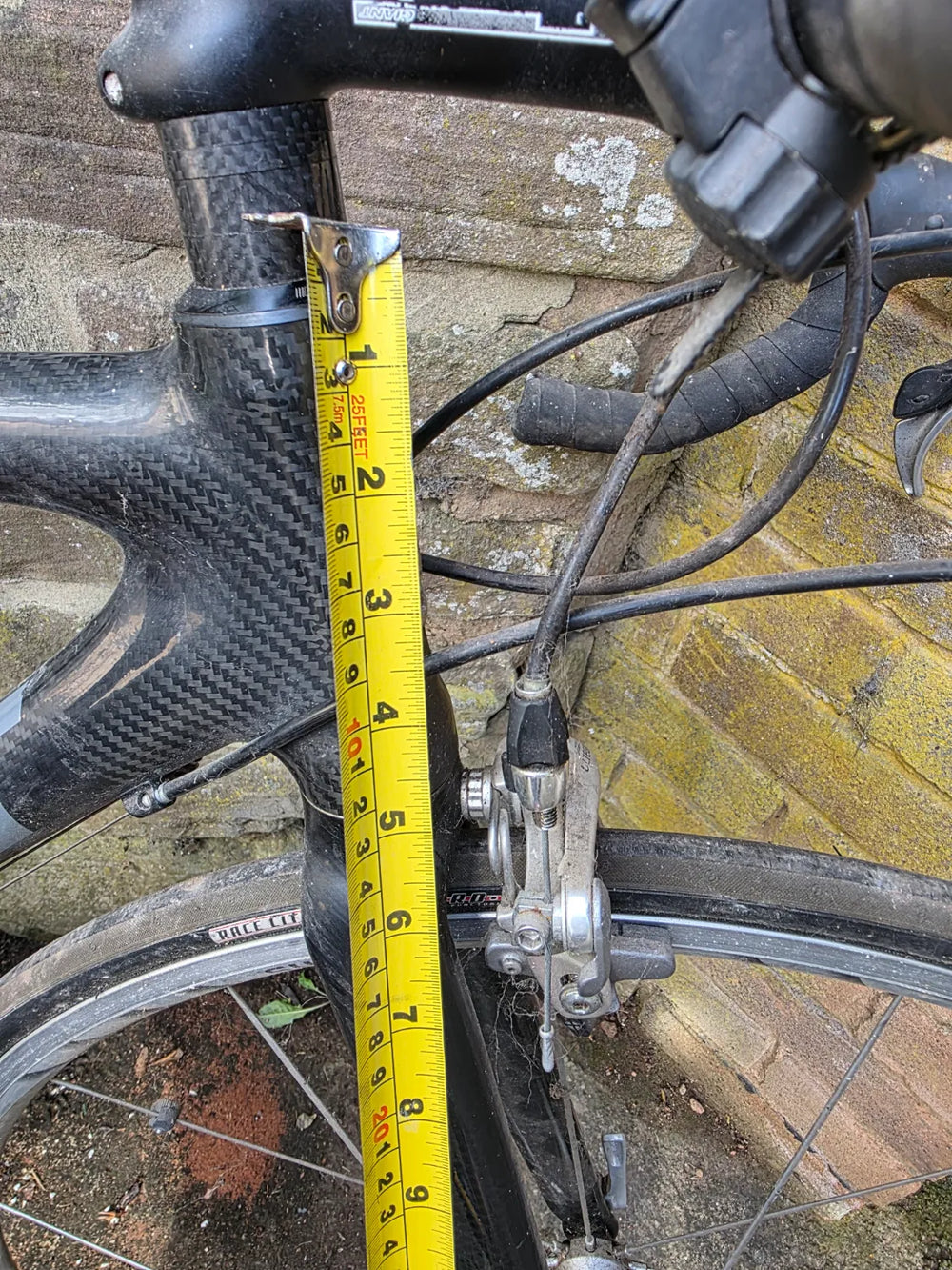 Giant TCR 2 2004