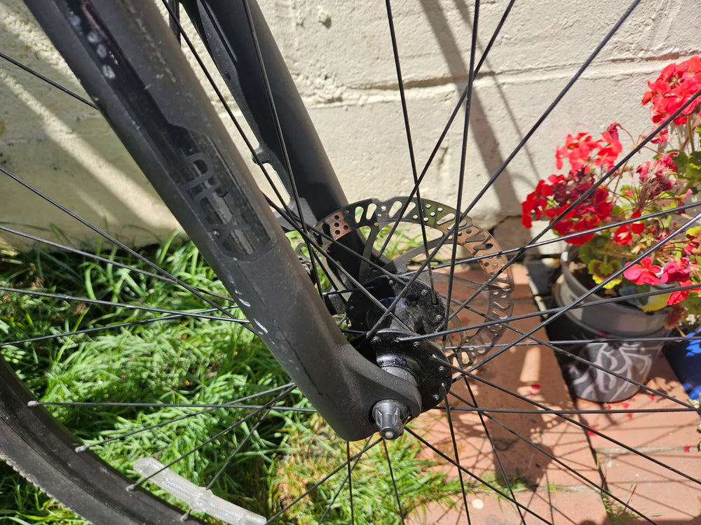 Trek Dual Sport 2 Gen5 2024