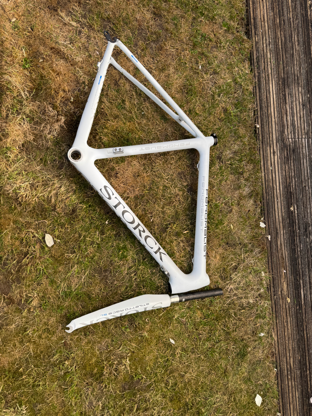 Storck Fenomalist 2012