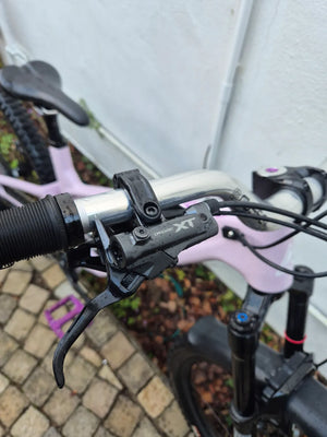 Forbidden Druid 2 29er 2025