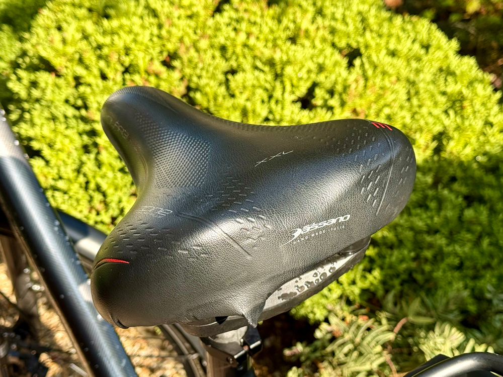 Giant Entour E+ 1 Low Step Through 2020