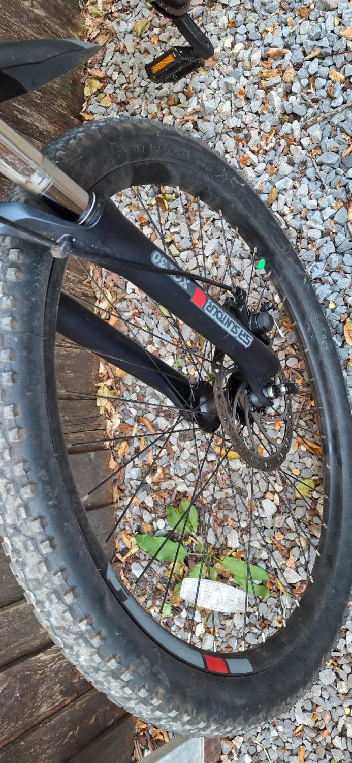 Carrera Vengeance e spec 2023