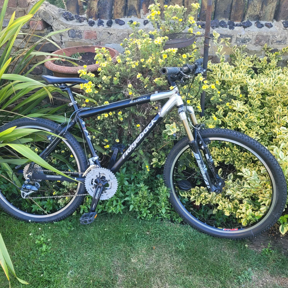 Ridgeback Storm 2014