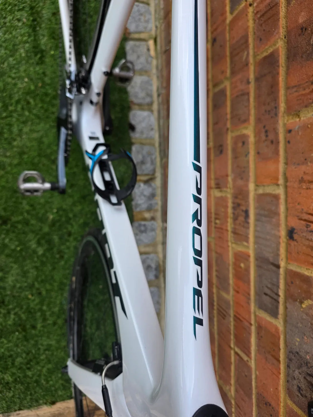 Giant Propel Advanced 1 2020
