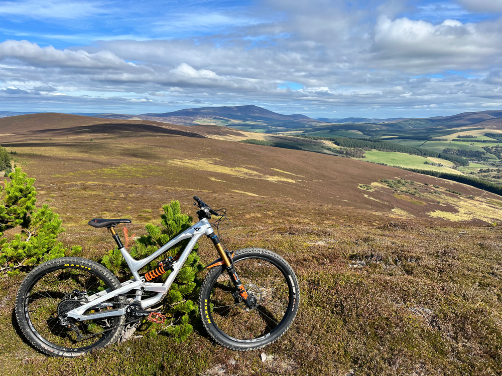 YT CAPRA 29 AL Comp 2019