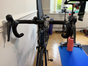 Trek Domane AL 2 Disc 2020