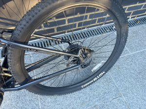 Cannondale Trail 2020