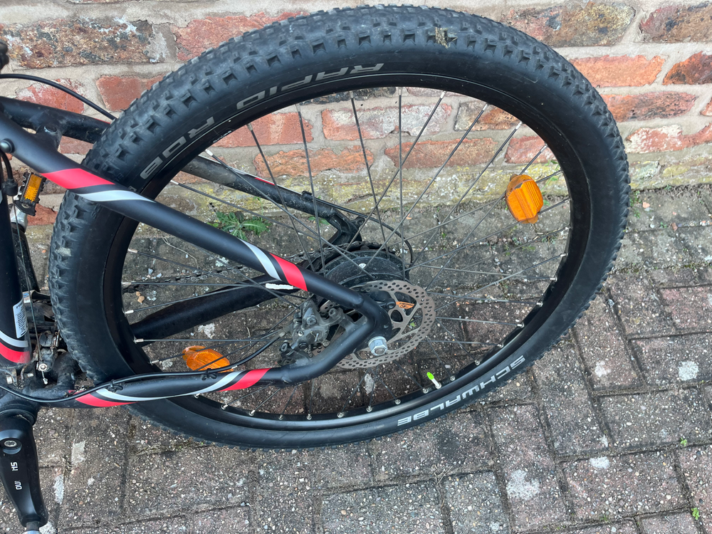 Batribike Delta Electric 2024