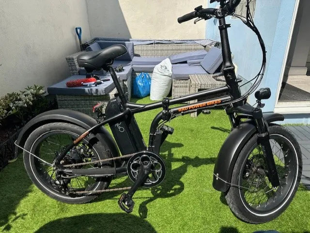 Rad Power Bikes RAD MINI 4 2020