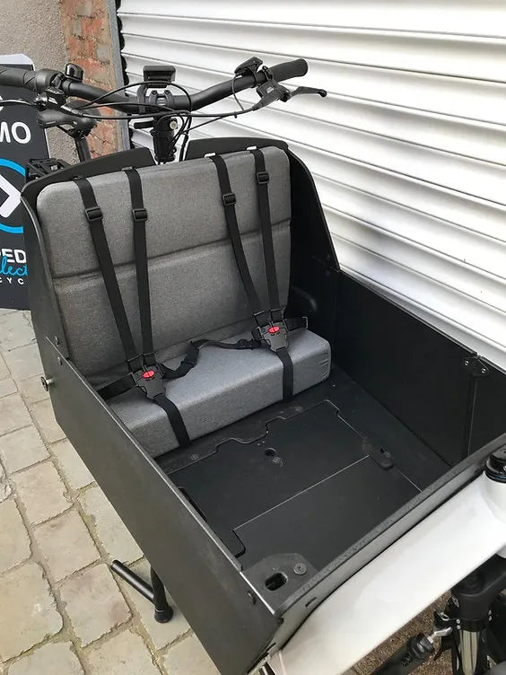 Riese & Muller Transporter2 65 Vario