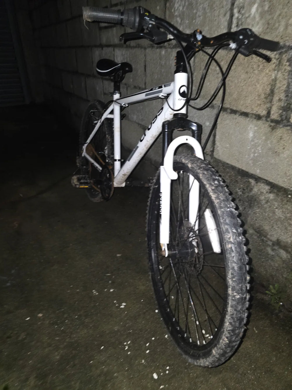 Cross FXT 300 2020