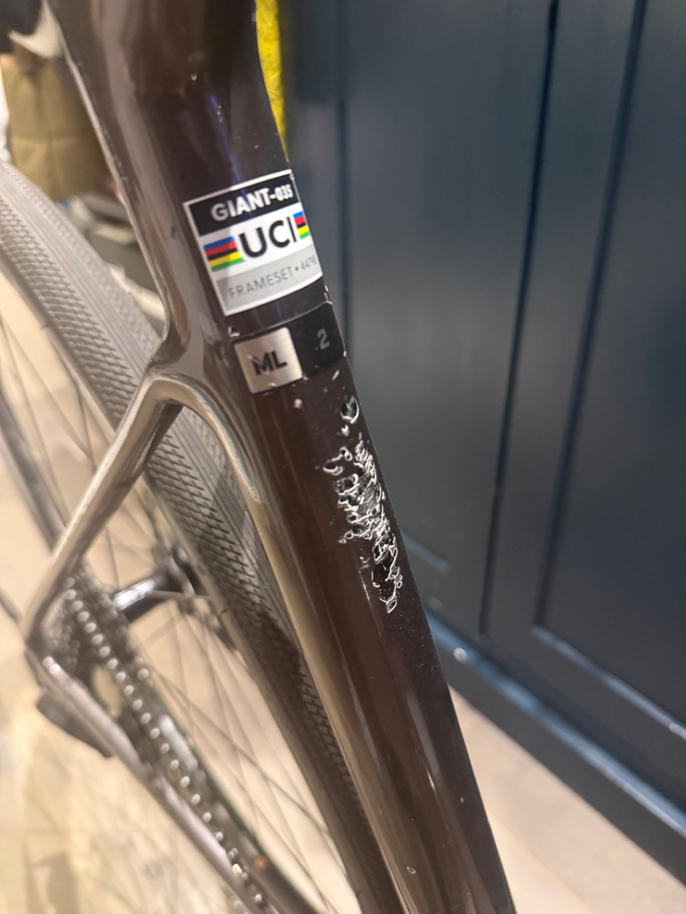 Giant Defy Advanced 2 2024